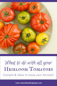 What To Do With All Your Heirloom Tomatoes Recipes And Ideas