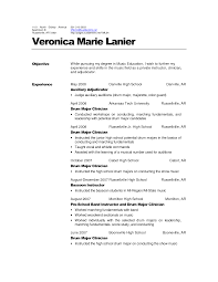 Resume Format For Experienced It Professionals