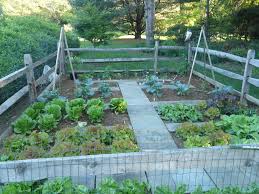 Garden Walkways By Vegetable Gardens 4