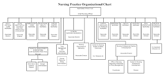 Organization Chart Of Hospital Ward Bedowntowndaytona Com