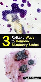 3 reliable ways to remove blueberry stains