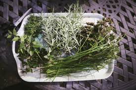 The Best Winter Herbs To Grow And Eat Urban Cultivator