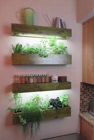 Indoor Growing Under Lights With Leslie Halleck Vertical Garden Indoor Wall Planters Indoor Herbs Indoors
