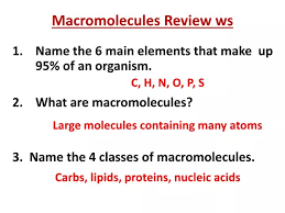 ppt macromolecules review ws
