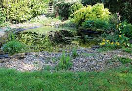 how to create your own garden pond