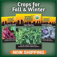 Buy Local Seeds From San Diego Seed Company