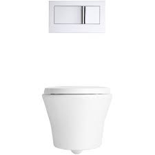 Elongated Dual Flush Wall Hung Toilet