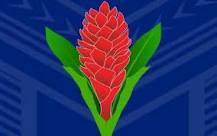 what-is-the-manu-samoa-flower