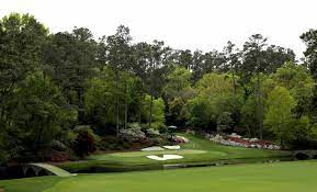 does the augusta national have a pro