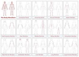 Body Meridian Chart Female Body Schematic Diagram With Main