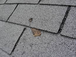 defective shingle installations and