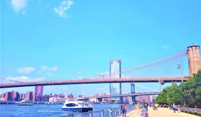 8 fun facts about dumbo new york