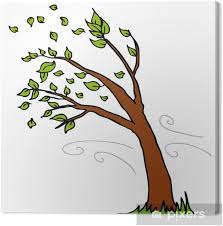 Obraz na płótnie Wiatr wiejący liście z drzewa • Pixers® - Żyjemy by  zmieniać