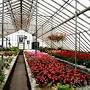 H & J Florist and Greenhouses from ru.pinterest.com