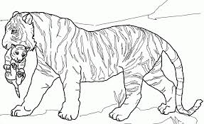 You can find some coloring pages of cute baby tigers which are more appropriate for your children. Coloring Pages Tiger Cubs Coloring Home