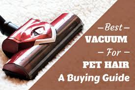 dog hair at home best pet vacuum