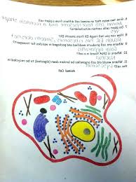 Check spelling or type a new query. Cool Animal Cell Coloring Worksheet Sugar And Spice
