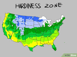 how to understand plant hardiness zones