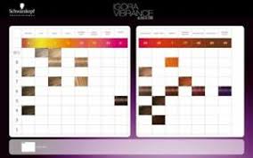 Details About Schwarzkopf Igora Tone Colour Chart