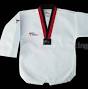 Taekwondo Uniforms World Taekwondo New Logo | Martial arts supplier