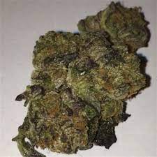 We use necessary cookies to make our site work. Blue Cookies Aka Blue Gsc Blue Girl Scout Cookies Weed Strain Information Leafly