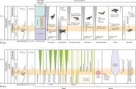 Rich & royal 1 artikel. Extinction And Dawn Of The Modern World In The Carnian Late Triassic Science Advances