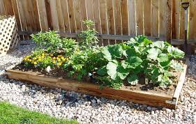 vegetable gardening in colorado