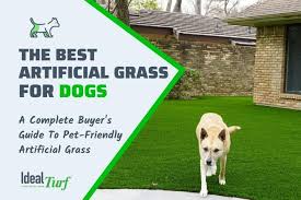 Best Artificial Grass For Dogs A