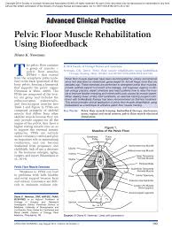 pdf pelvic floor muscle rehabilitation