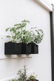 19 Hanging Herb Garden Ideas We D Love