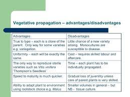 Biggest Disadvantage Of Vegetative Propagation gambar png