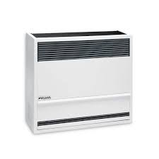 Williams 22 000 Btu Direct Vent Liquid