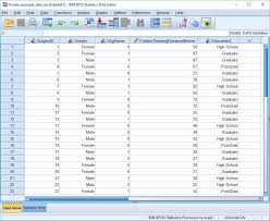 How To Calculate Percentiles In Spss Quick Spss Tutorial