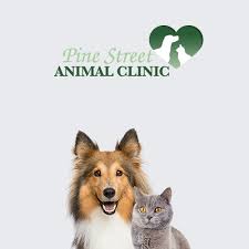 With autoship, you can schedule regular deliveries of your pet/animal's medications and food right to your front door — with free shipping!* Vet Clinic In Cabot Lonoke County Ar Animal Clinic