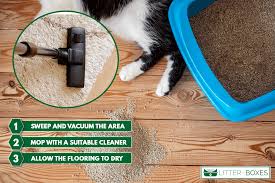 how to get cat litter residue off floor