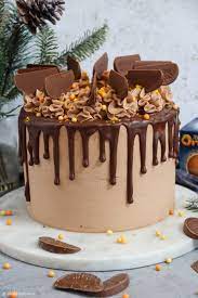 Terry Chocolate Orange Cake gambar png