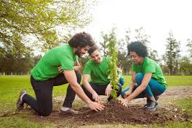 best memorial tree planting services