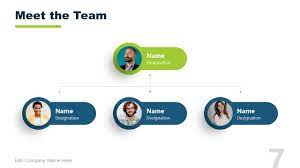 meet the team organizational chart