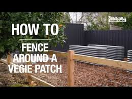 Vegie Garden Fence Bunnings Warehouse