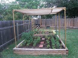 raised garden with a shade cloth to