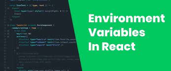 environment variables in reactjs dev
