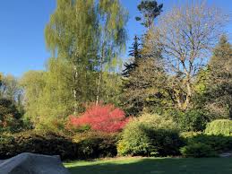 kubota garden a kubota kert