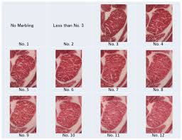 Meat Grading System Wagyu Authentic