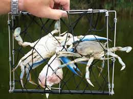 How to make crab snares 1 of 2 video. Crab And Lobster Catchers For Crabbing Crabhawk