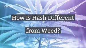 hash and how is it diffe from weed