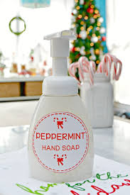 homemade peppermint foaming hand soap