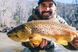 fly fishing locations in the upstate of
