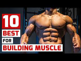 muscle building exercises