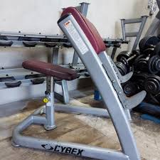 cybex preacher curl bench complete gyms