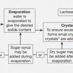 Sugar Production Process Flow Chart Diagram Cane